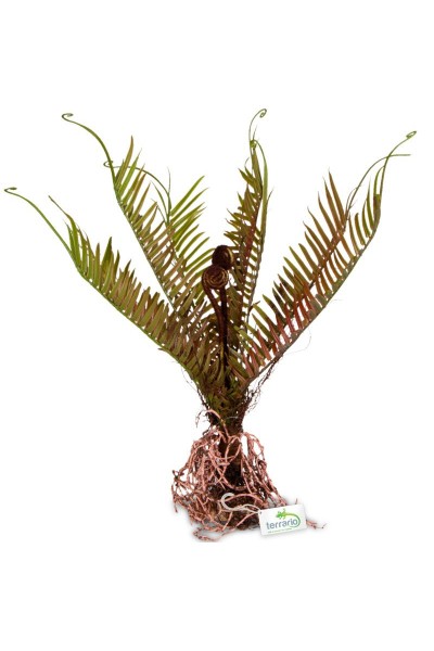 Штучна рослина, папороть Terrario 40x14x41см (332)