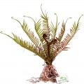 Штучна рослина, папороть Terrario 40x14x41см (332)