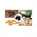 Нагревательный мат с регулировкой Terrario Premium Repti Pad 20W 42x28см (tr-mata-20w)