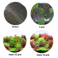 Грунт для акваріума Aquario Neo Soil Plant 8л (neo-soil-plant-8)