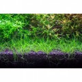 Грунт для аквариума Aquario Neo Soil Plant 3л (neo-soil-plant-3)