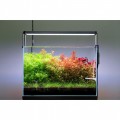 Грунт для аквариума Aquario Neo Soil Plant 3л (neo-soil-plant-3)