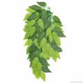 Штучна рослина Repti-Zoo Ficus 40см (TP002)