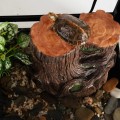 Декоративный фильтр-водопад Repti-Zoo Turtle Filter Tree (GLB10) в форме корня для амфибий и террариумов до 70 литров