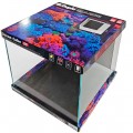 Морской аквариум Dupla Ocean Cube 80 45x45x40см (81476)