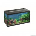 Акваріумний комплект Eheim aquastar 54 LED чорний (0340645)