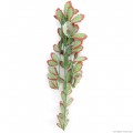 Искусственное растение Repti-Zoo Hedera 40см (TP006)