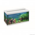 Акваріумний комплект Eheim aquastar 54 LED білий (0340646)