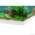 Акваріумний комплект Eheim aquastar 54 LED білий (0340646)