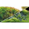 Задній фон Hobby Planted River/Green Rocks 120x50см (31045)