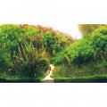 Задній фон Hobby Planted River/Green Rocks 120x50см (31045)