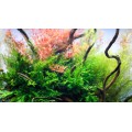 Калий в таблетках Aquario Neo Tabs Plant K