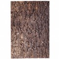 Фон з кори для тераріуму Repti-Zoo Big Tree Background 30x45 (NCT02)