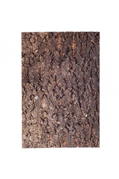 Фон з кори для тераріуму Repti-Zoo Big Tree Background 30x45 (NCT02)
