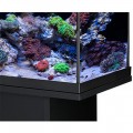 Акваріумний комплект Eheim aquastar 63 marine LED чорний (0340701)