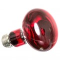 Инфракрасная нагревательная лампа Repti-Zoo Infrared Heat 50W (R63050)