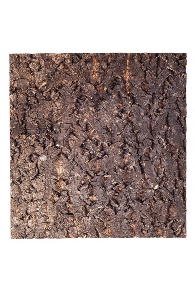 Фон из коры для террариума Repti-Zoo Big Tree Background 45х45 (NCT03)