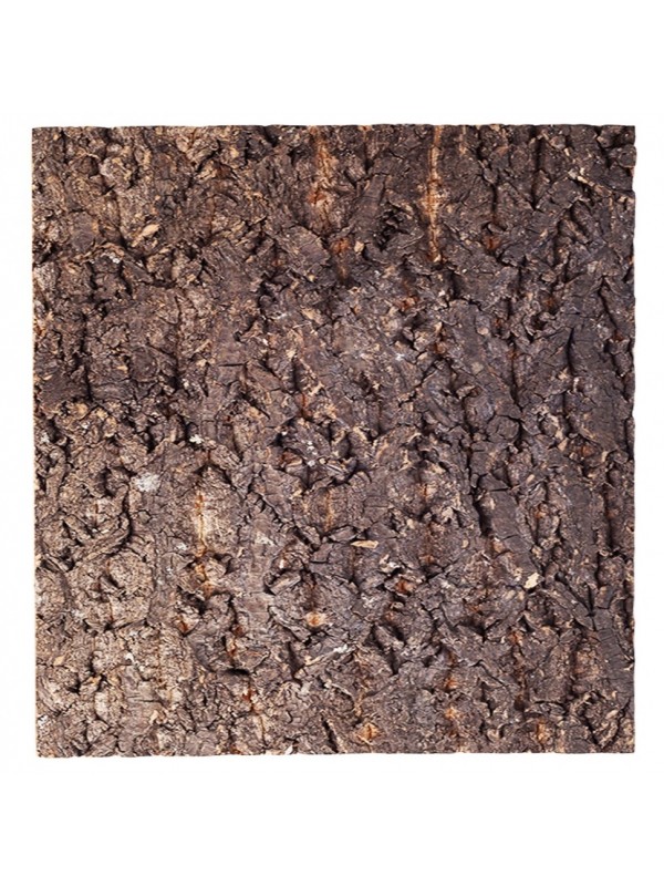 Фон з кори для тераріуму Repti-Zoo Big Tree Background 45x45 (NCT03)
