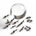Вода в шариках для насекомых Terrario Beastie Drink Balls 500мл.