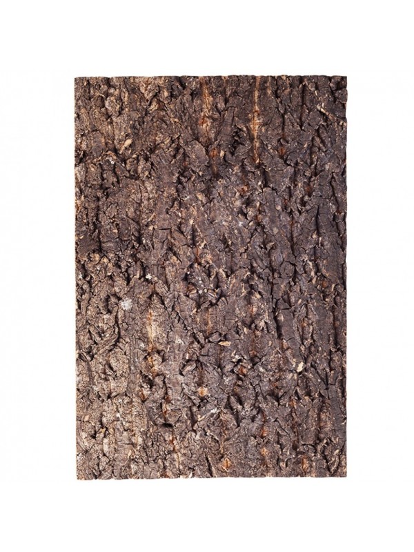 Фон з кори для тераріуму Repti-Zoo Big Tree Background 45x60 (NCT05)