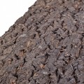 Фон з кори для тераріуму Repti-Zoo Big Tree Background 45x60 (NCT05)