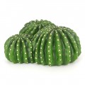 Декорация пещера кактус Hobby Cactus Home 1 22,5x22x10см (36241)