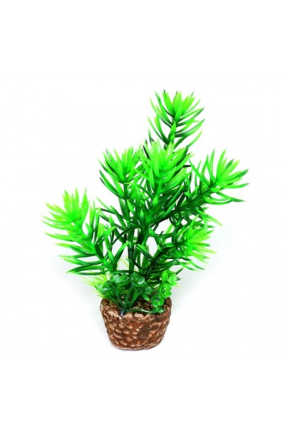 Искусственное растение Hobby Flora Stone 1 13см (51530)