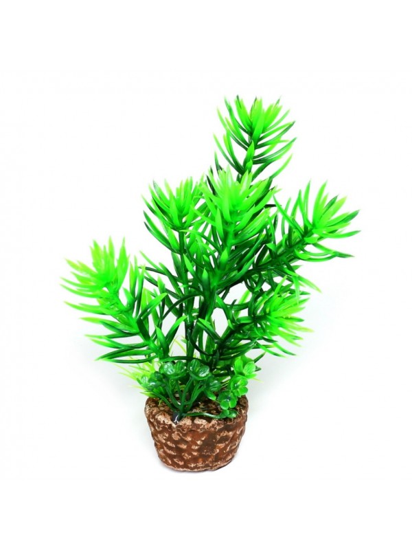 Искусственное растение Hobby Flora Stone 1 13см (51530)