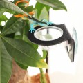 Подвесной миска Terrario Gecko Bar Black
