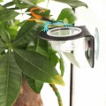 Подвесной миска Terrario Gecko Bar Black