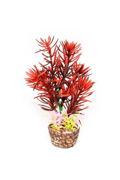 Штучна рослина Hobby Flora Stone 2 13см (51531)