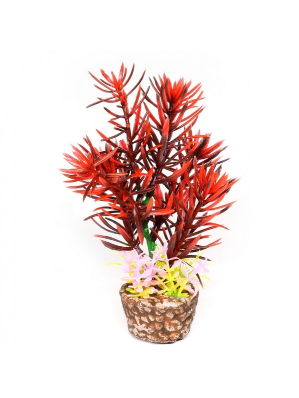 Штучна рослина Hobby Flora Stone 2 13см (51531)