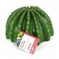 Декорація печера кактус Hobby Cactus Home 3 17,5x17x10,8см (36243)