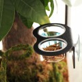 Двойная подвесной миска Terrario Gecko Duo Bar Black