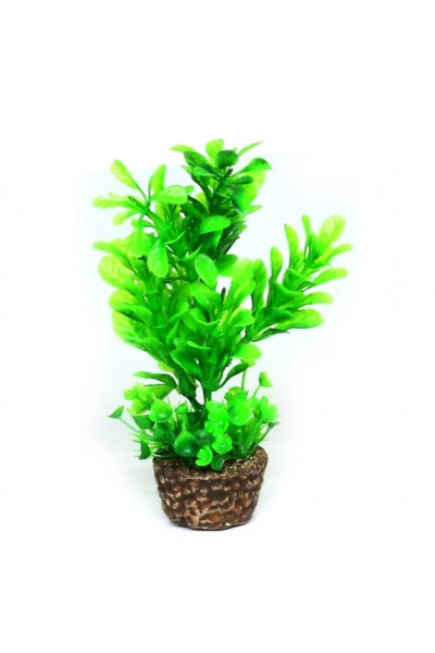 Штучна рослина Hobby Flora Stone 3 13см (51532)