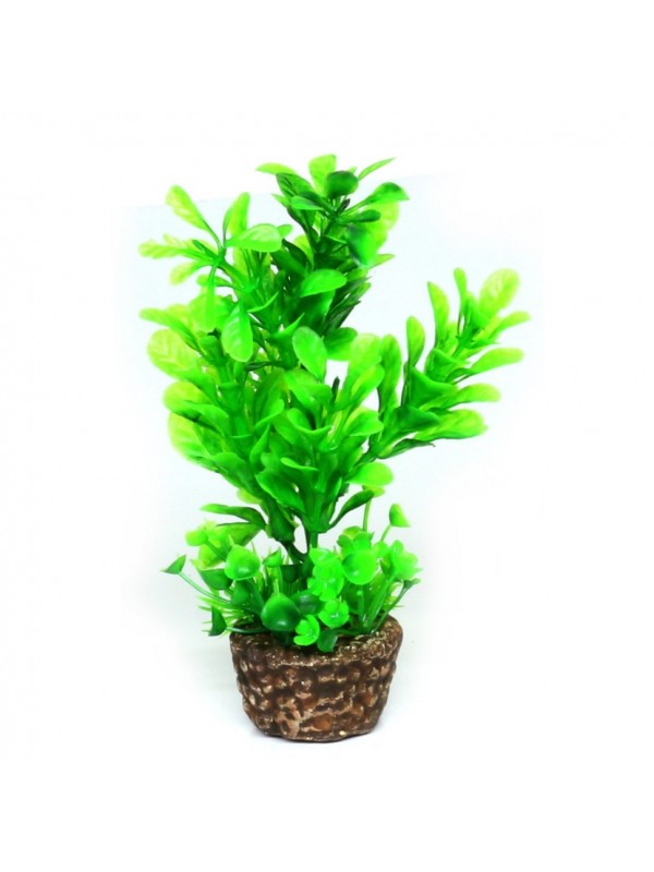 Искусственное растение Hobby Flora Stone 3 13см (51532)