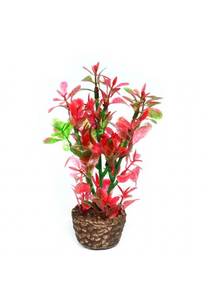 Искусственное растение Hobby Flora Stone 4 13см (51533)