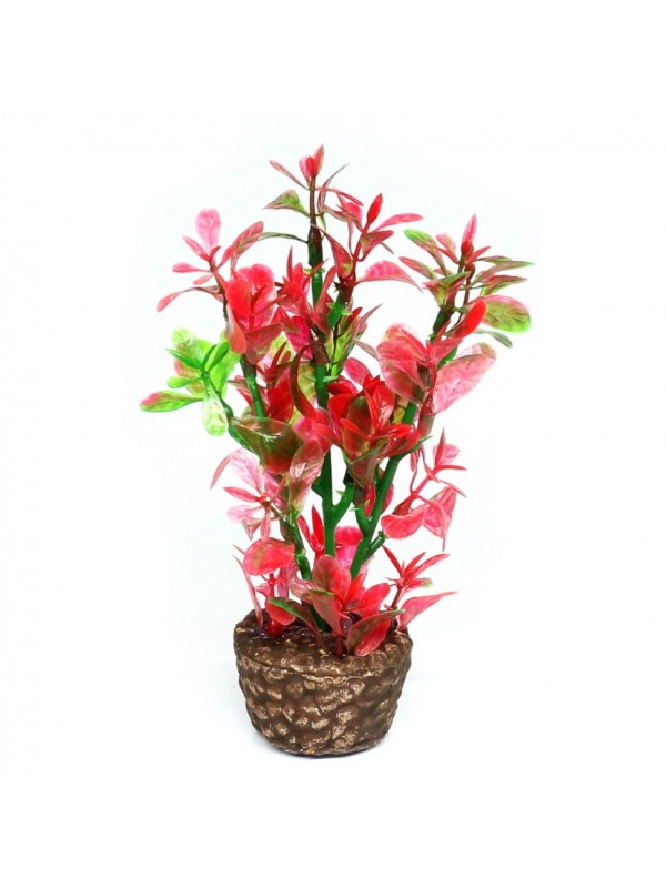 Искусственное растение Hobby Flora Stone 4 13см (51533)