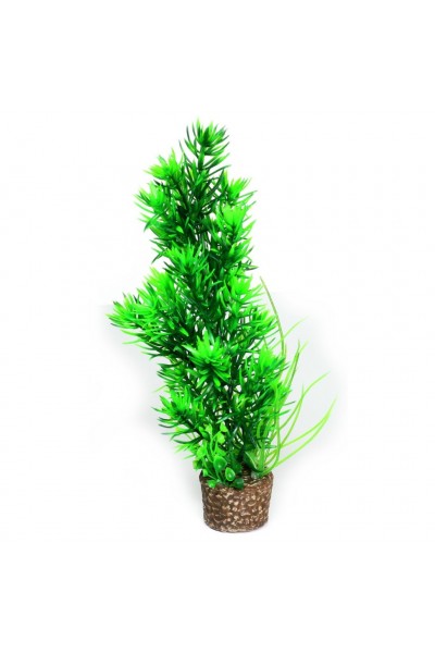 Штучна рослина Hobby Flora Stone 5 25см (51534)