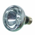 Неодимова лампа Repti-Zoo Neodymium Daylight 100W B80100 - обігрівальна UVA лампа для тераріуму
