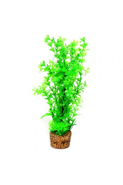 Искусственное растение Hobby Flora Stone 6 25см (51535)