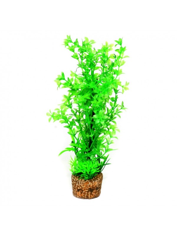 Штучна рослина Hobby Flora Stone 6 25см (51535)