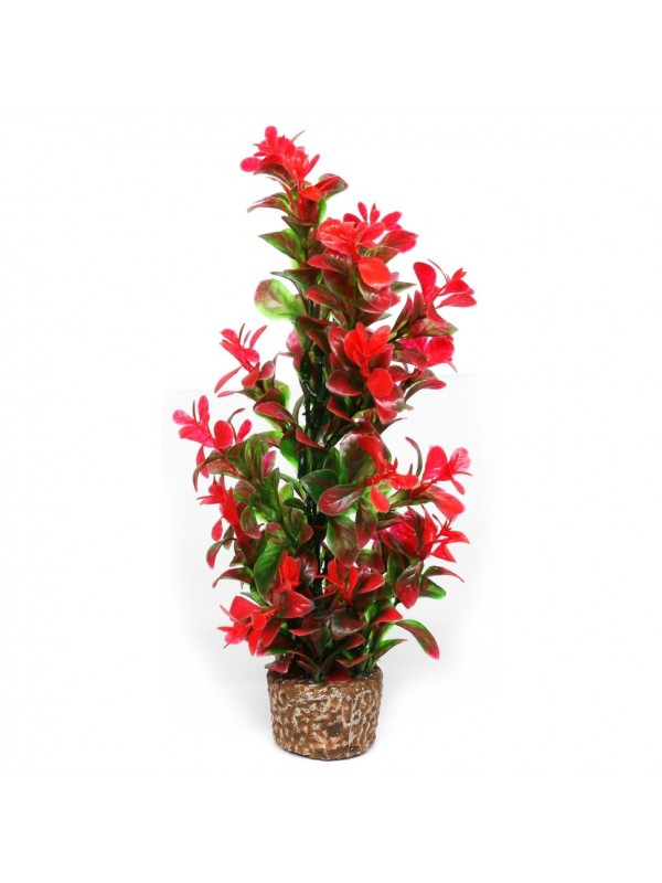 Штучна рослина Hobby Flora Stone 7 25см (51536)