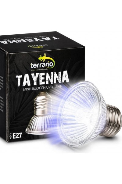 Лампа для тераріуму Terrario Tayenna 25W UVB 3.0 E27 для тропічних рептилій та амфібій