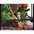 Террариум Repti-Zoo 45x45x60см (RK0110S)
