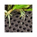 Бавовна з тропічних лісів Wacool Rainforest Plant Cotton L 44х44см (YZM002)