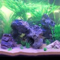 Декорация камень с отверстиями Hobby Cavity Stone dark 5 33x16x33см (40149)
