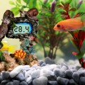 Декорация Yusee Aquarium Decor Thermometer с термометром LCD 14X6X11см (ys201030)