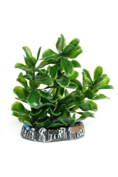 Штучна рослина Hobby Bacopa 7см (51555)