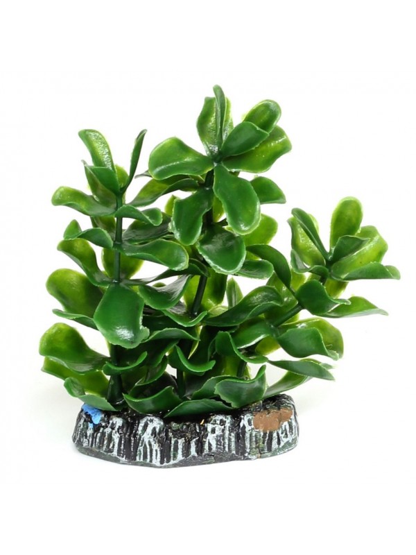 Штучна рослина Hobby Bacopa 7см (51555)